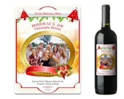 Bouteilles De Vins Noël Photo