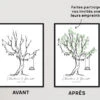 Affiche Arbre à Empreintes - Mariage