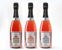 Bouteille De Champagne Rosé Personnalisable - Veux Tu être (...) ? 6 Bouteille De Champagne Rosé Personnalisable - Veux Tu être (...) ? -Cadeaux 0ddf3121c4cc046c2b0d4f09d4f1e5885a6689f57e41baa75a35b049566f31610