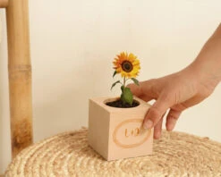 Ecocube Personnalisé - Message