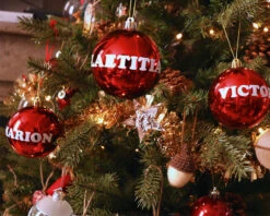 Les Six Boules De Noël Personnalisées 5 Les Six Boules De Noël Personnalisées -Cadeaux 1e8b9b4eccf412ba6f2a35889d65055377b5915575519ee7521d319a92b229868