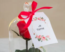 Rose Sous Cloche Lumineuse Avec Carte Personnalisable 7 Rose Sous Cloche Lumineuse Avec Carte Personnalisable -Cadeaux 2d200e437fbac07d365fc58ced05738eb064b3b465060804242f6287a9c431590