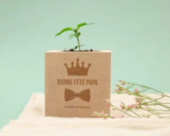 Ecocube Personnalisé - Papa Royal 6 Ecocube Personnalisé - Papa Royal -Cadeaux 301c9fabb4eff65d3eff5137e5ddb2c666c55e7ab425ba305b1a77d6a89040974