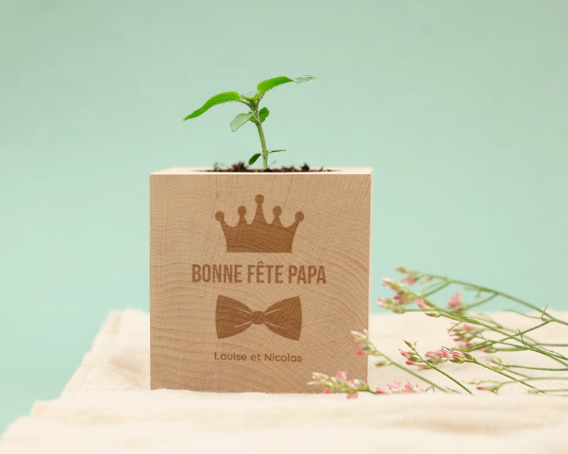 Ecocube Personnalisé - Papa Royal 3 Ecocube Personnalisé - Papa Royal – Image 3