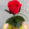 Rose Sous Cloche Lumineuse Avec Carte Personnalisable