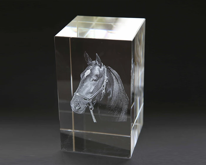 Le Presse-papiers Photo 3D 1 Le Presse-papiers Photo 3D