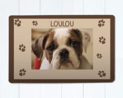 Tapis Pour Chien - Photo