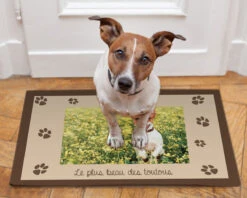 Tapis Pour Chien - Photo -Cadeaux 772909a98bb9b3763f5a8baee0a6d6b3a2fc0eb85b07cbb18cc8a880583a5217