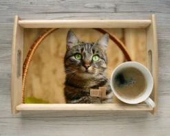 Plateau Photo -Cadeaux 83b01bd31d4190c10e007b3b81df7fafb95b68fed5655f8af153be53c3cd31831