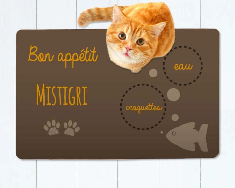 Tapis De Gamelle Pour Chat 1 Tapis De Gamelle Pour Chat