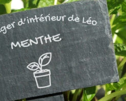 Mini-ardoise Pour Plante Personnalisable - Potager -Cadeaux 9281721c54baefde9803388d0067c464e32272eb81a5a856d34c5c8ccfe721990