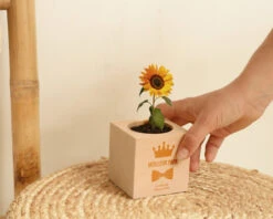 Ecocube Personnalisé - Papa Royal 7 Ecocube Personnalisé - Papa Royal -Cadeaux 94f99c0c9648390be33cf90b772e37017de776af51c029166c77c62d84a640978