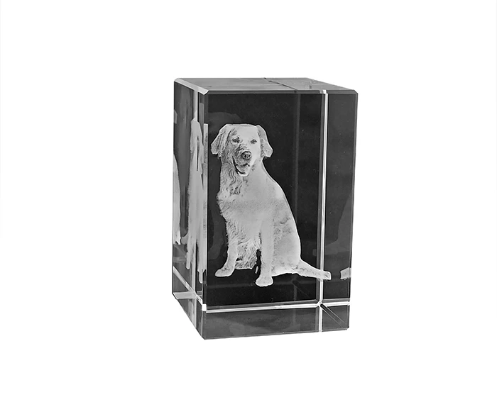 Le Presse-papiers Photo 3D 3 Le Presse-papiers Photo 3D – Image 3