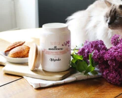 Pot à Biscuits Personnalisé - Meilleure Du Monde 6 Pot à Biscuits Personnalisé - Meilleure Du Monde -Cadeaux d3b0f1e679a1c43328a88637e780b3eb232919e066c817db7f0dca390ffc36013
