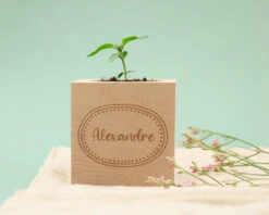 Ecocube Personnalisé - Message -Cadeaux d68d84daea9eb28e939dec098e2a771c5fb7a662fb0e52b294a68cfbf60140870