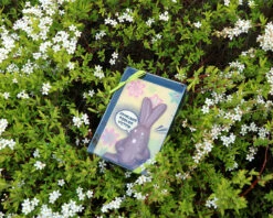 Lapin De Pâques En Chocolat Personnalisable -Cadeaux d6de4d85a6ca195bdaf7b05578cb7c45c6408b78d932eaa40cda54b42e0130431