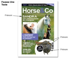 Fausse Une De Magazine - Cheval