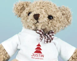 Ourson Noël -Cadeaux e45fa754669bdb46af7691ec01741765bf941e4d820ddef5981001ca63e222057