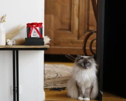 Boîte De Roses éternelles Personnalisée -Cadeaux ea09bd669bd6087f275297b2cb6973967d0abda9f571ae4119c19cd134a835950