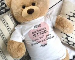 Ours En Peluche Géant Personnalisable - Aujourd'hui Je T'aime Depuis... Jours -Cadeaux f0283e50a40195e3f3f88d3f77244ca34e62753c3c019b0f0e2e26e1348c35250